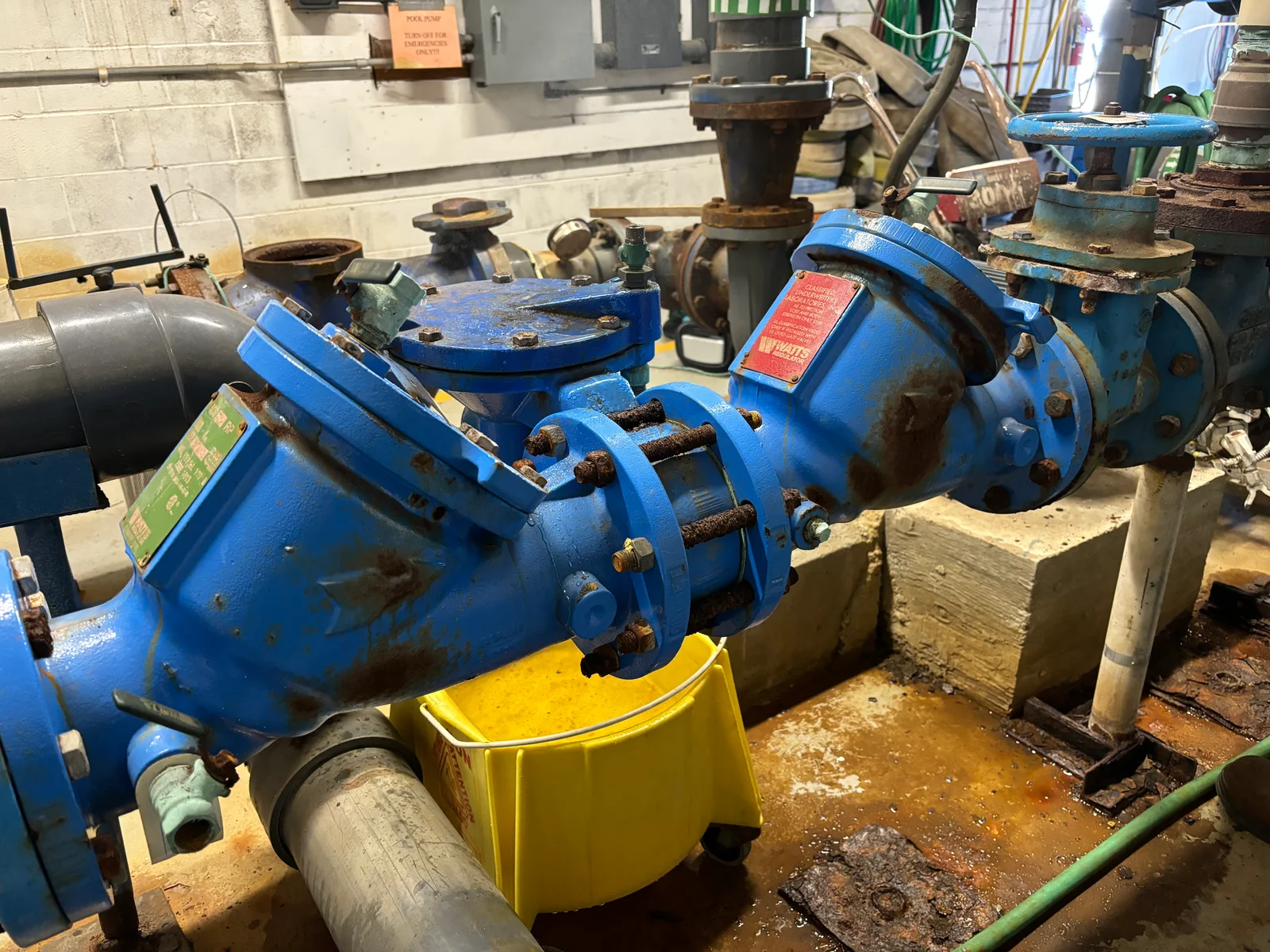 Blue RPZ backflow preventers with yellow drip pan, isolation valves, and copper piping connections